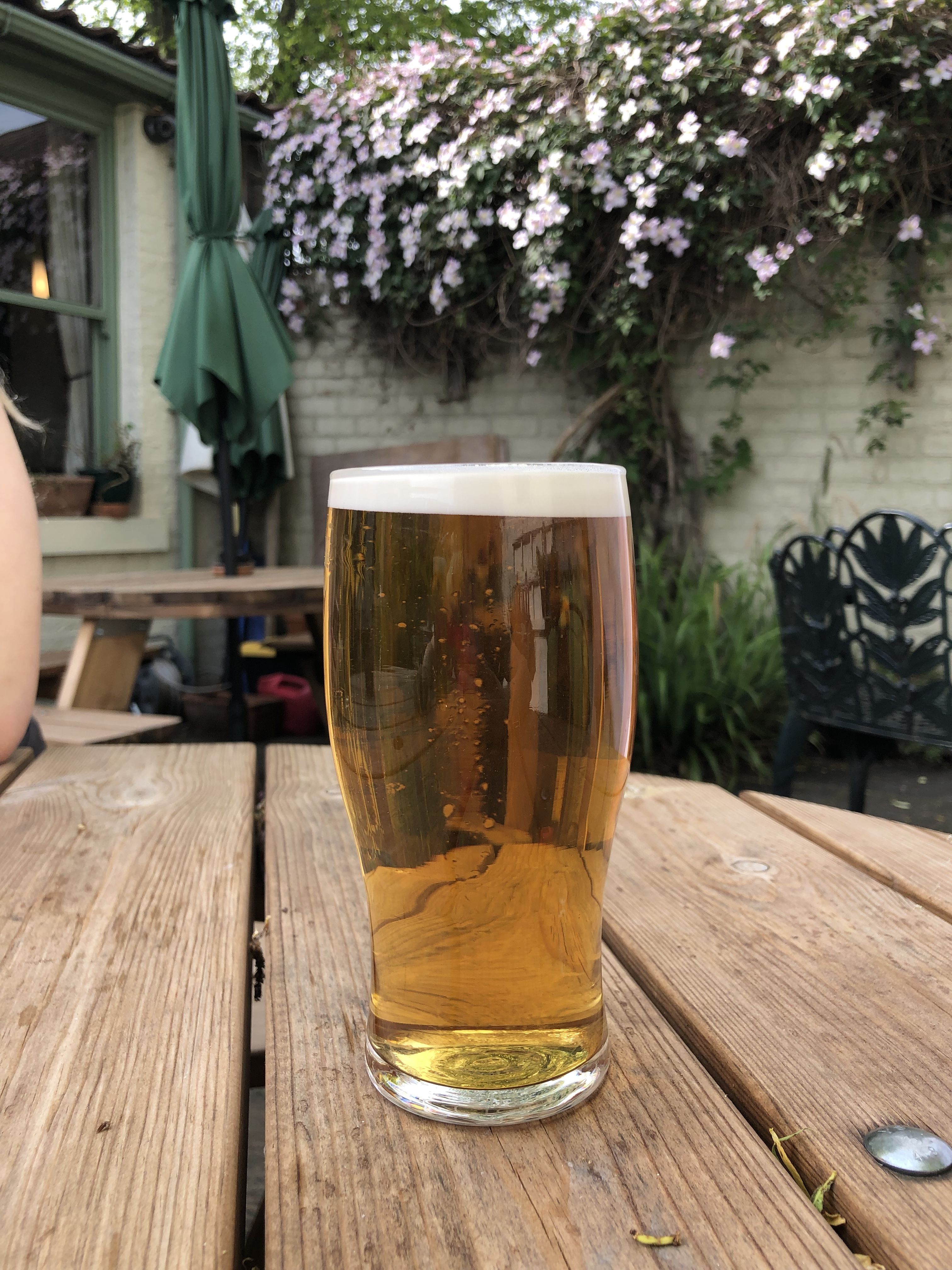 A pint of orangey pale ale 