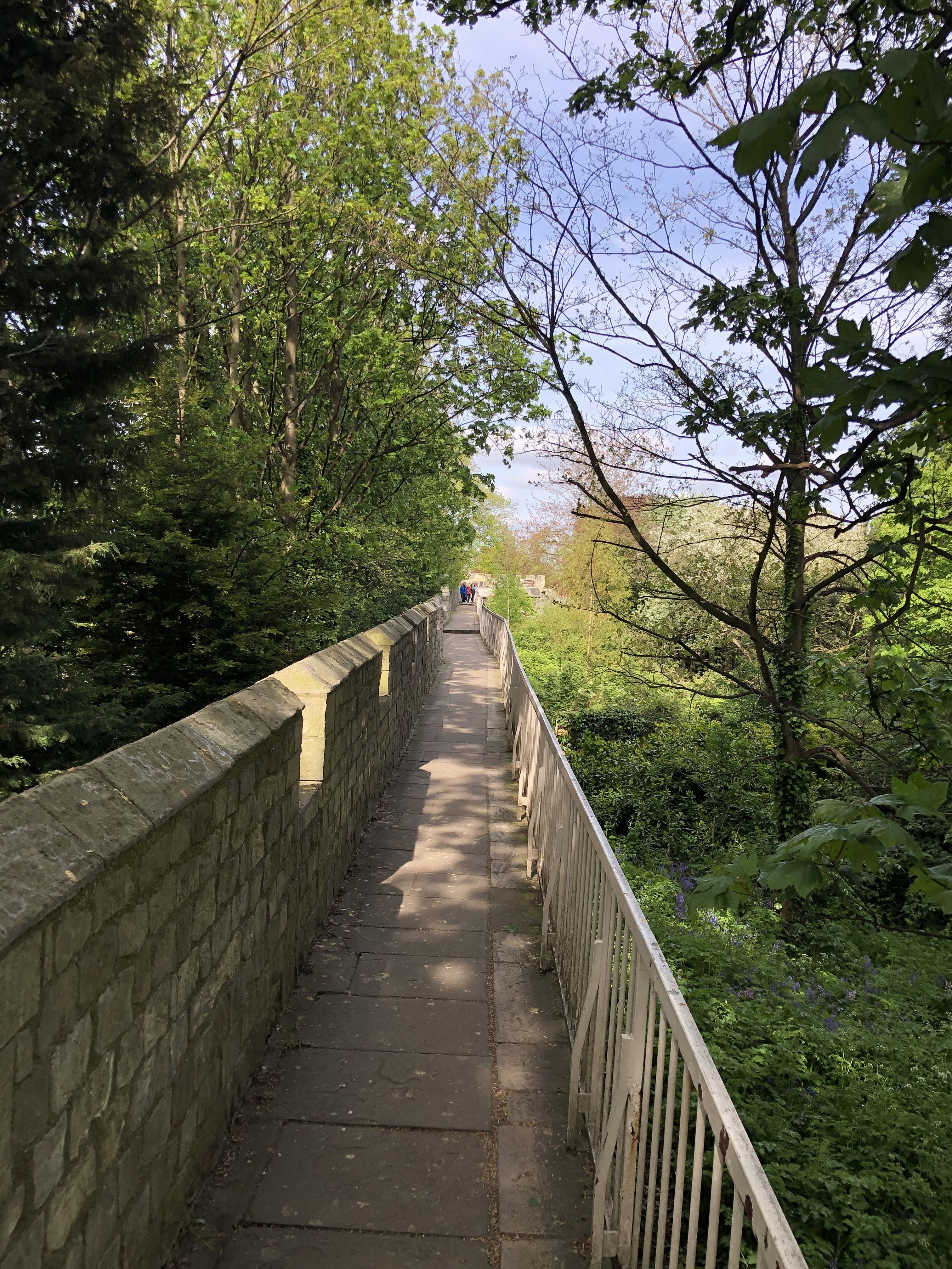 A pathway along York's city walls with the green of tree leaves surrounding the ancient stone