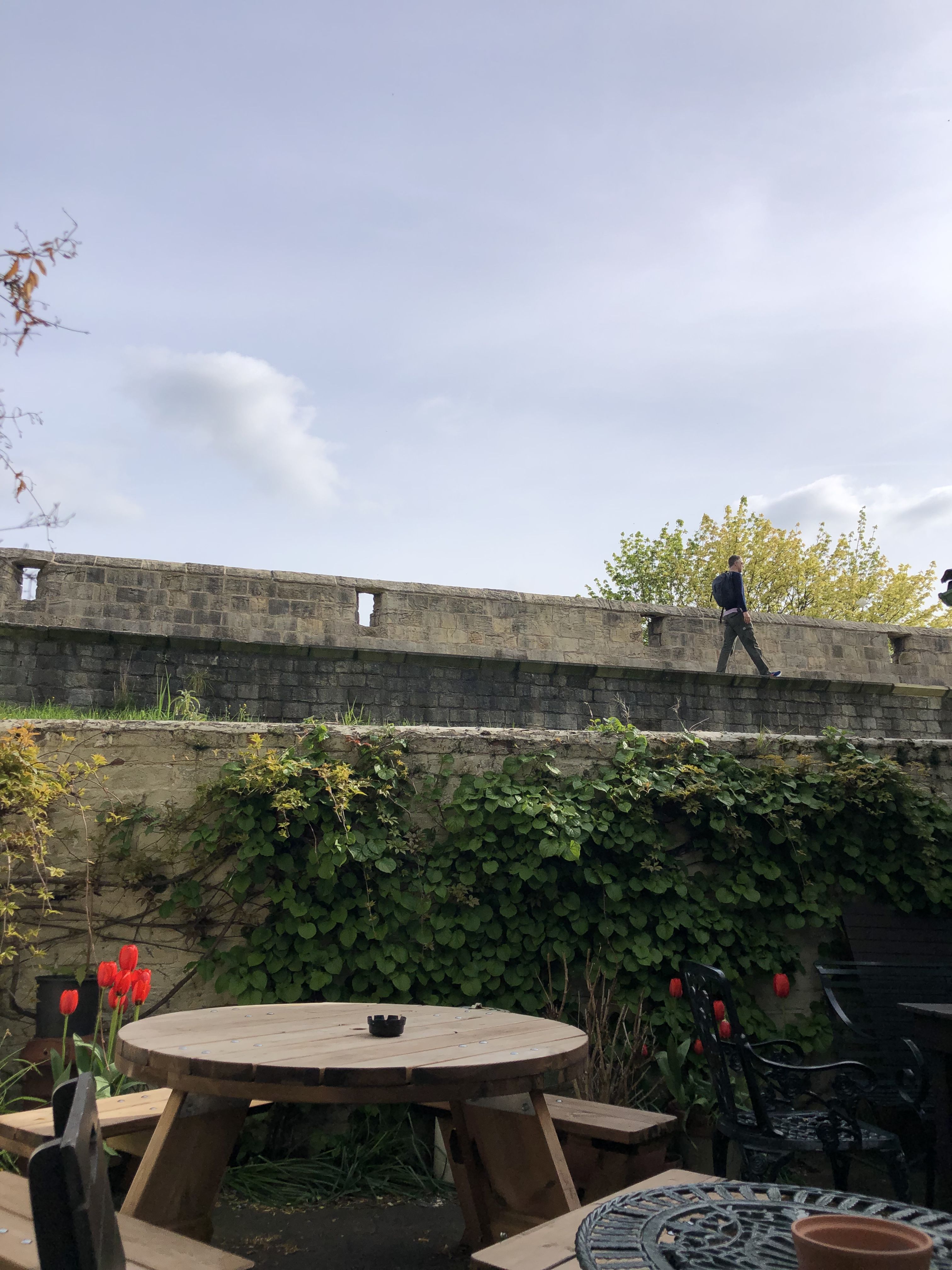 A man walks on York's city walls
